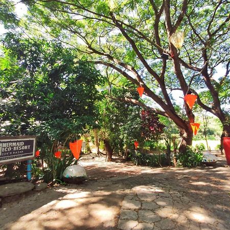 Mermaid Eco Resort Dhoapalong المظهر الخارجي الصورة
