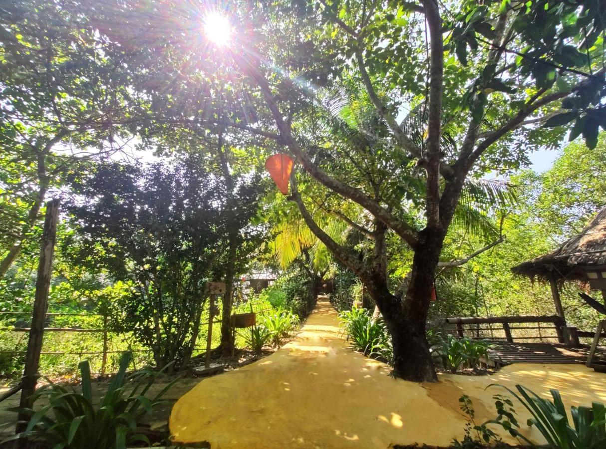 Mermaid Eco Resort Dhoapalong المظهر الخارجي الصورة
